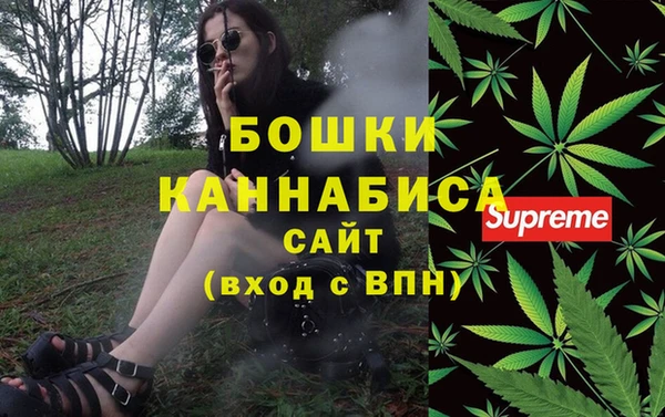 гашик Шадринск