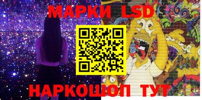 шишки Аргун