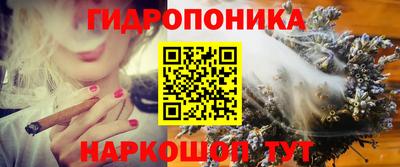 дживик Кингисепп