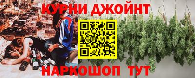 дживик Кингисепп