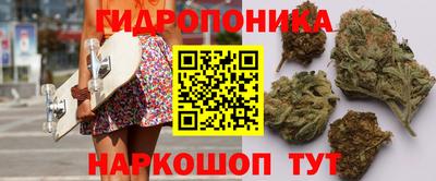 дурь Кимры