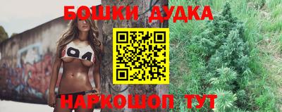 шишки Аргун