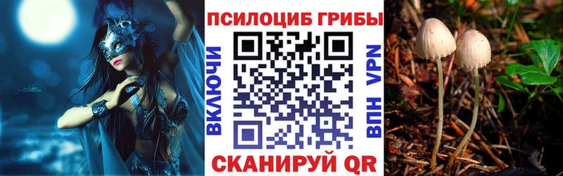 omg ONION  Пушкино  Псилоцибиновые грибы MAGIC MUSHROOMS 