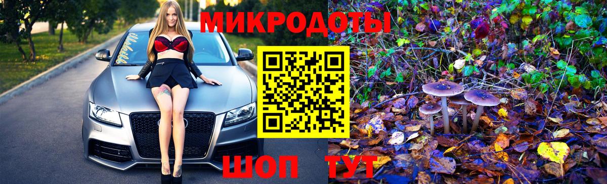 Псилоцибиновые грибы Cubensis Пушкино