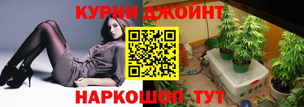 Пушкино  Каннабис MAZAR  Каннабис Amnesia  Вход с VPN 