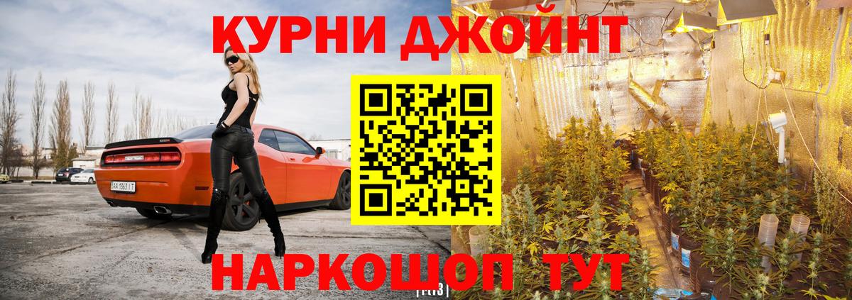 Каннабис гибрид  Бошки Шишки LSD WEED  Пушкино  Каннабис MAZAR  Бошки марихуана семена 